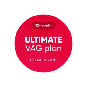 ULTIMATE VAG Plan (12-month)